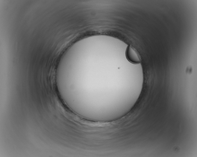 X0000114010036200910021003