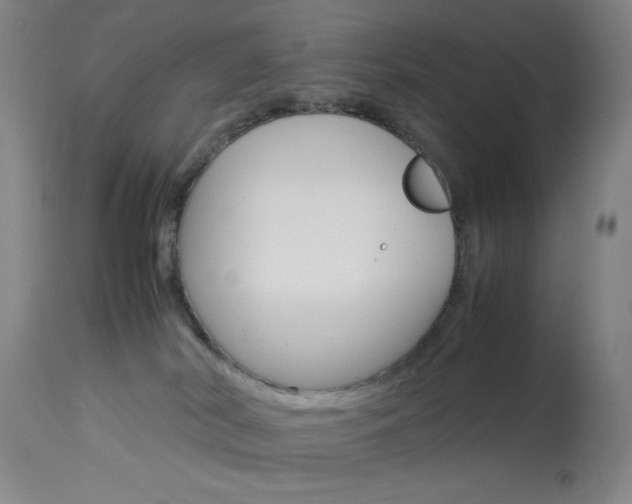 X0000114010038200910021003