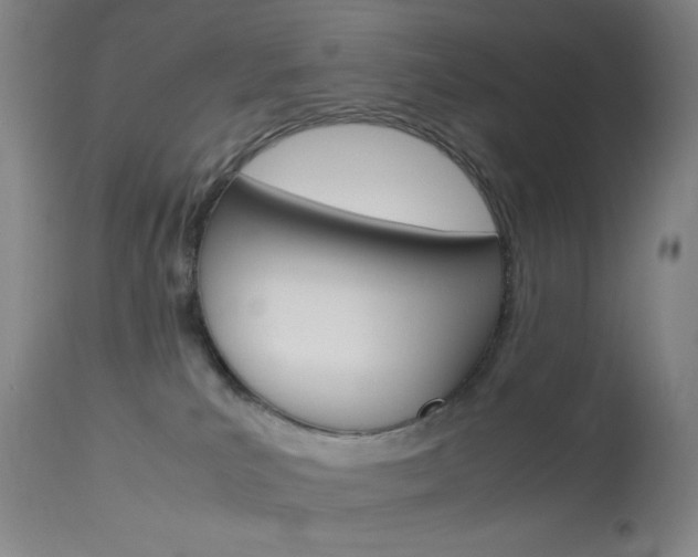 X0000114010039200910021003