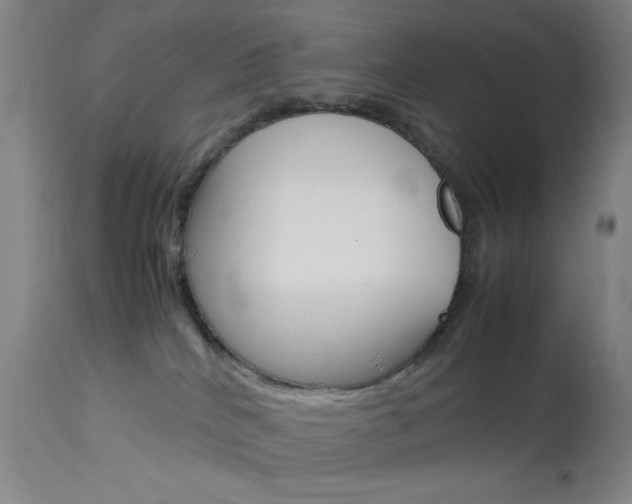X0000114010040200910021003