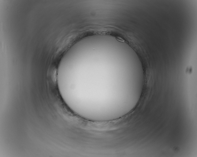 X0000114010041200910021003