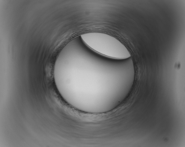 X0000114010044200910021003