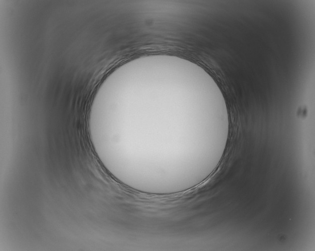 X0000114010045200910021003