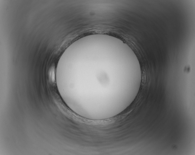 X0000114010046200910021003