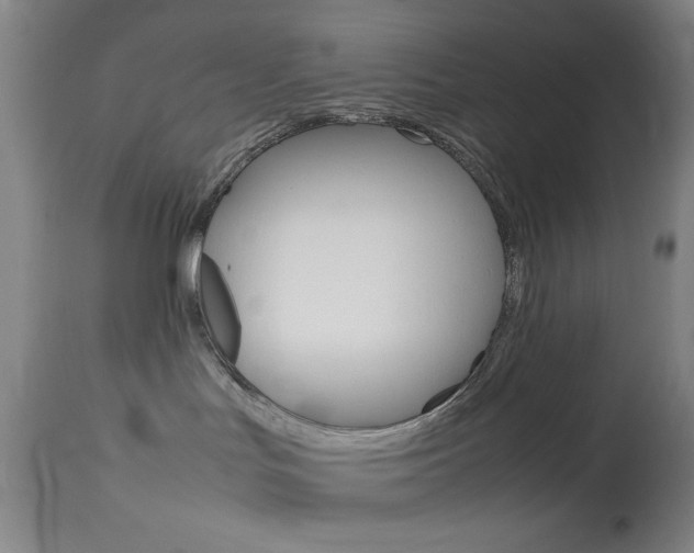 X0000114010047200910021003
