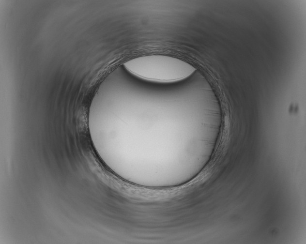 X0000114010048200910021003