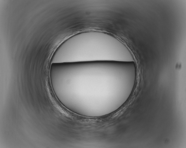 X0000114010049200910021002