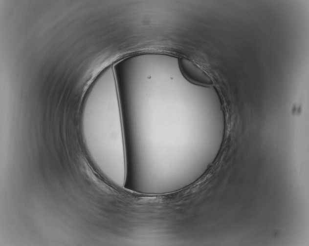 X0000114010050200910021002