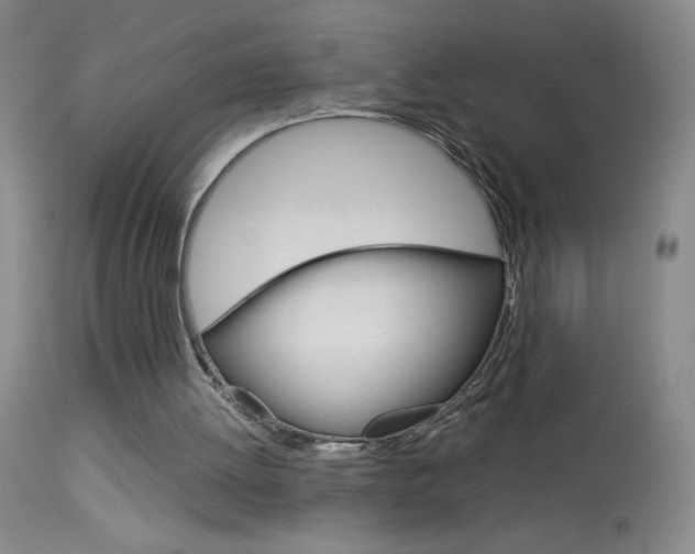X0000114010052200910021002