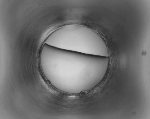 X0000114010053200910021002