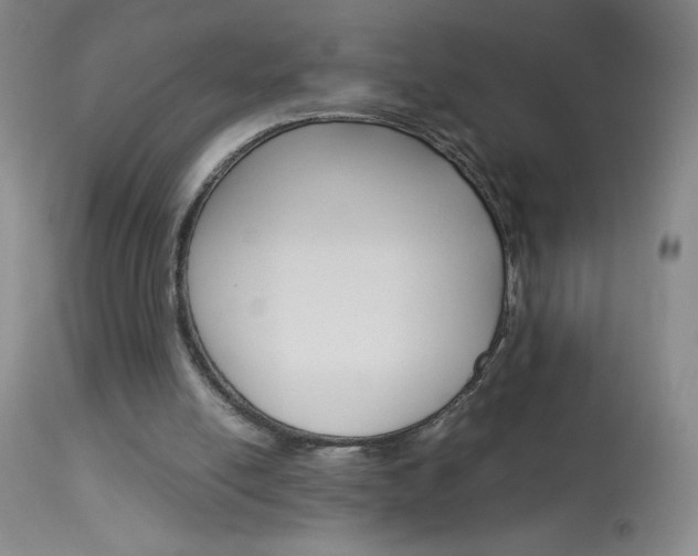 X0000114010054200910021002
