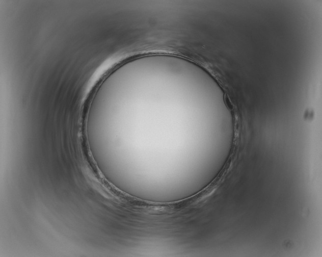 X0000114010056200910021002