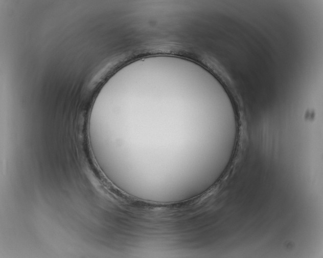 X0000114010058200910021002