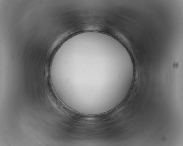 X0000114010059200910021002