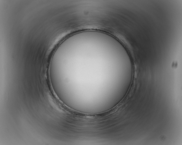 X0000114010060200910021002