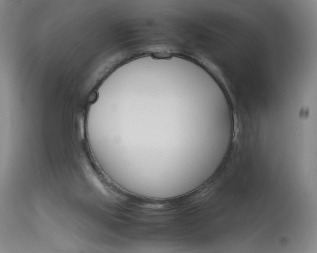 X0000114010061200910021002