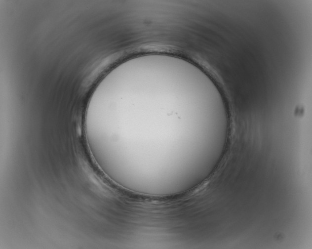 X0000114010062200910021002