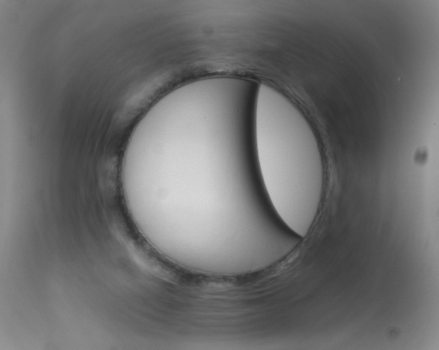 X0000114010066200910021002