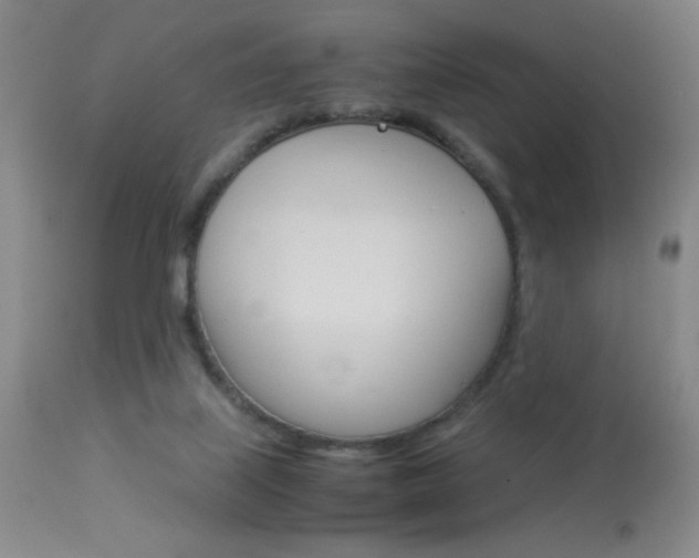X0000114010067200910021002