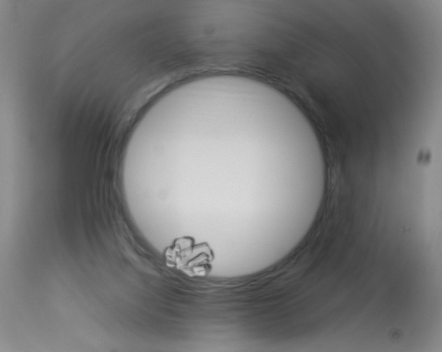 X0000114010068200910021002