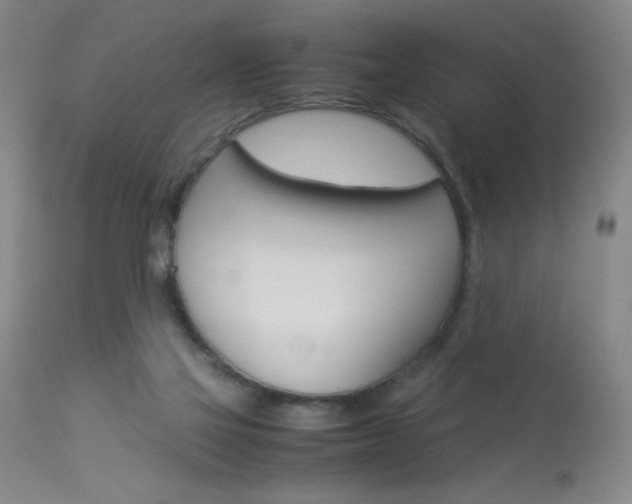X0000114010069200910021002