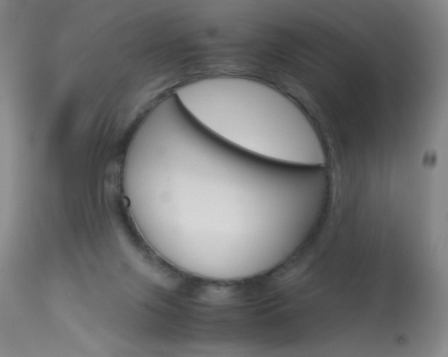 X0000114010071200910021002
