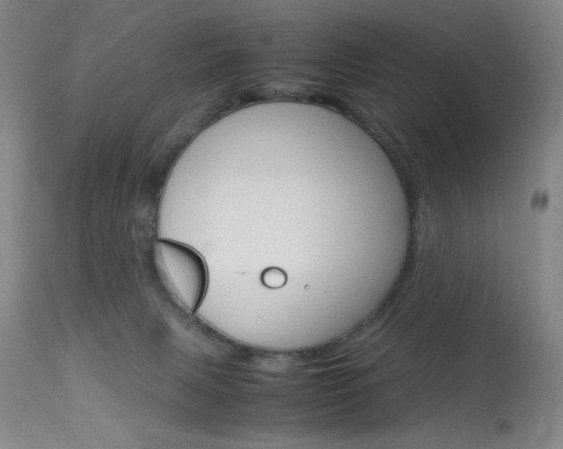 X0000114010079200910021002