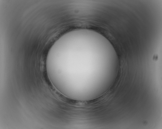X0000114010080200910021002