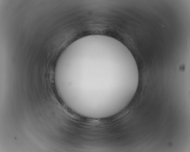 X0000114010083200910021002