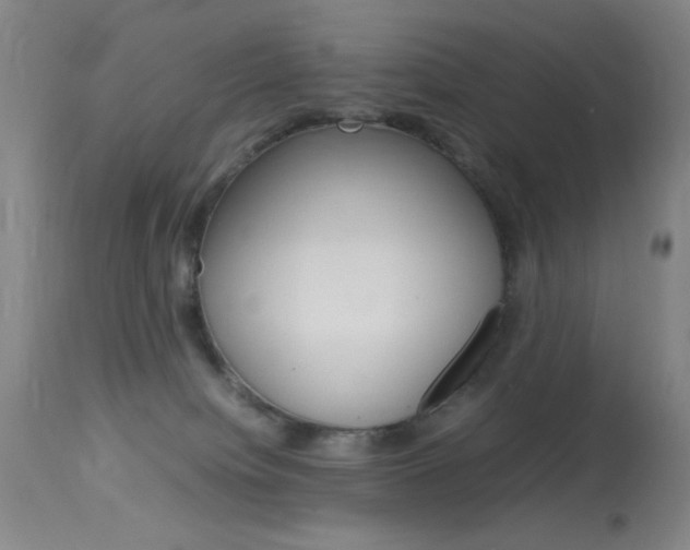 X0000114010084200910021002