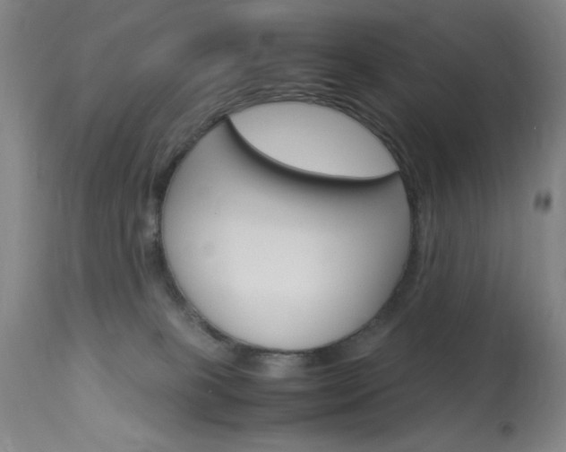 X0000114010085200910021002