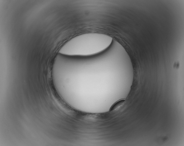 X0000114010086200910021002