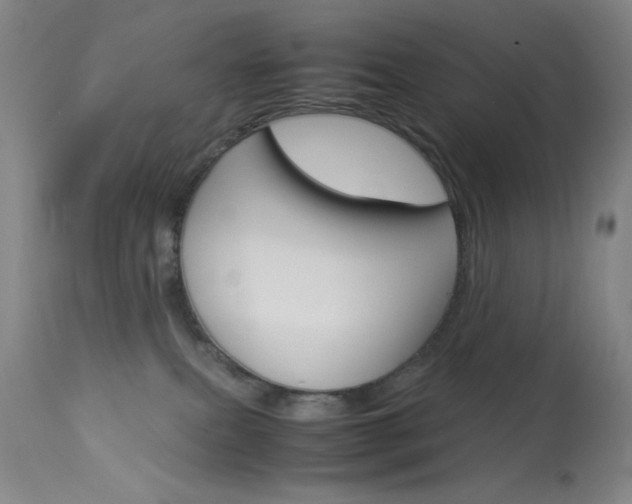X0000114010087200910021002