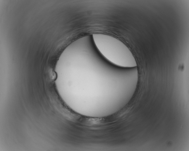 X0000114010089200910021003