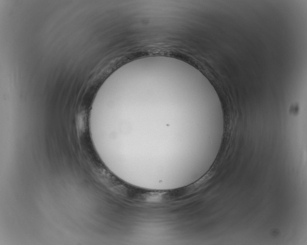 X0000114010090200910021003