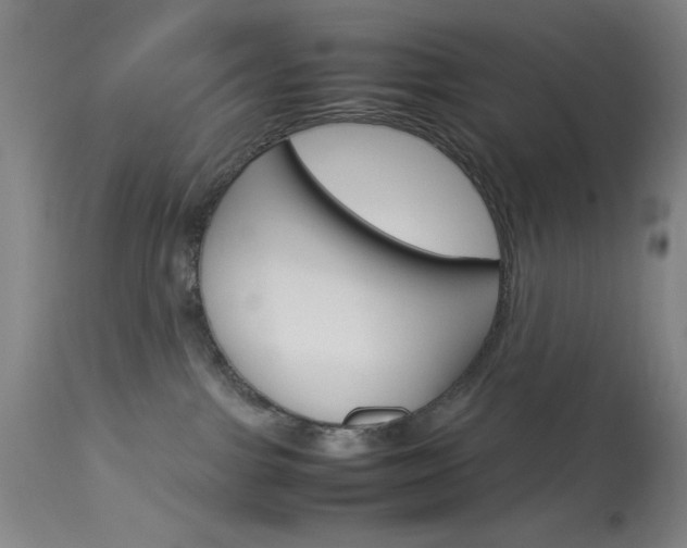 X0000114010091200910021003