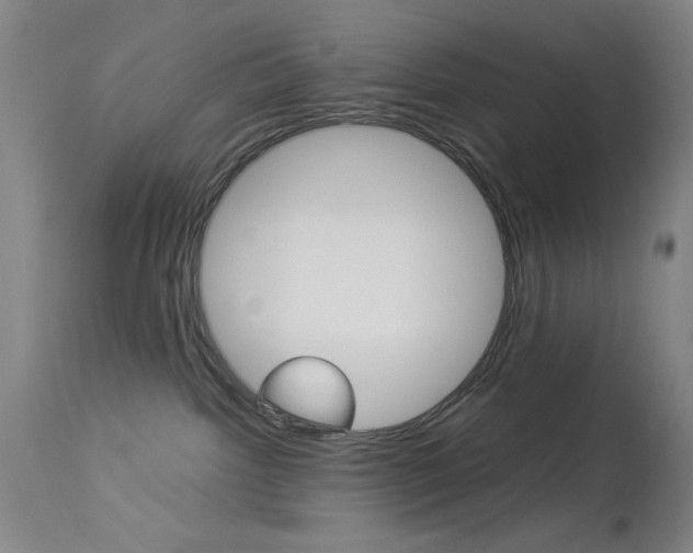 X0000114010092200910021003