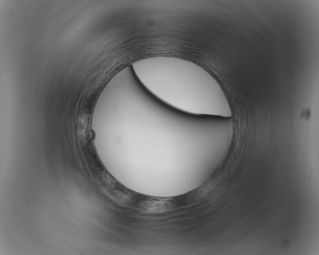 X0000114010093200910021003