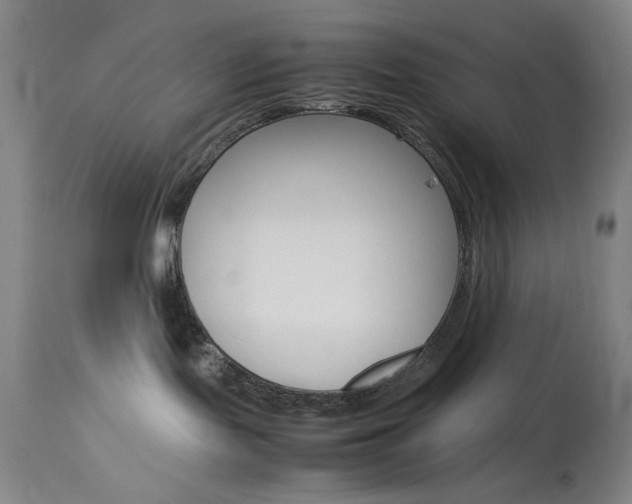 X0000114010095200910021003