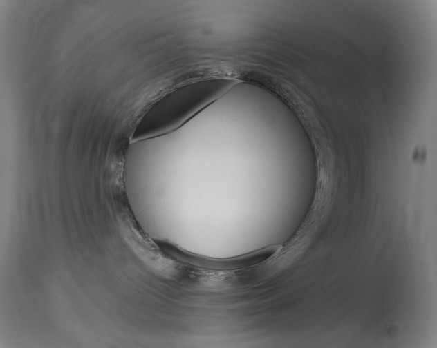 X0000114010096200910021003