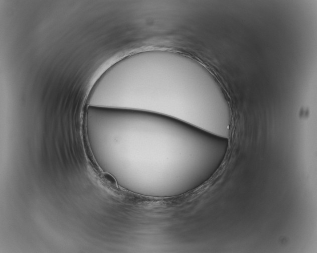 X0000114010100200910021002