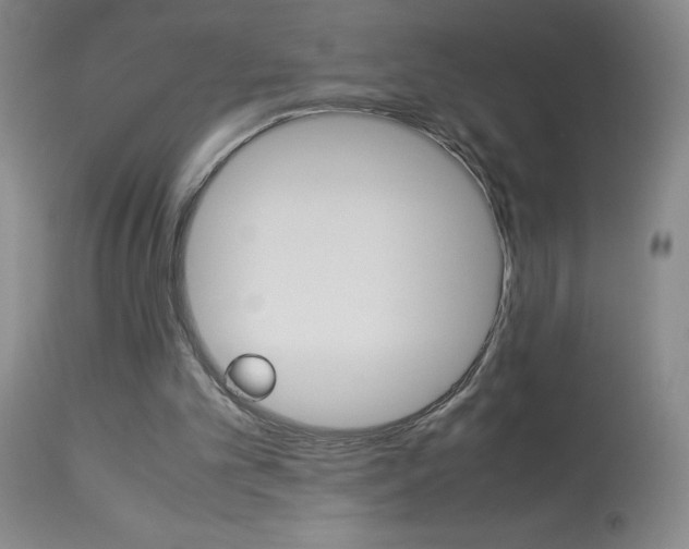 X0000114010101200910021002