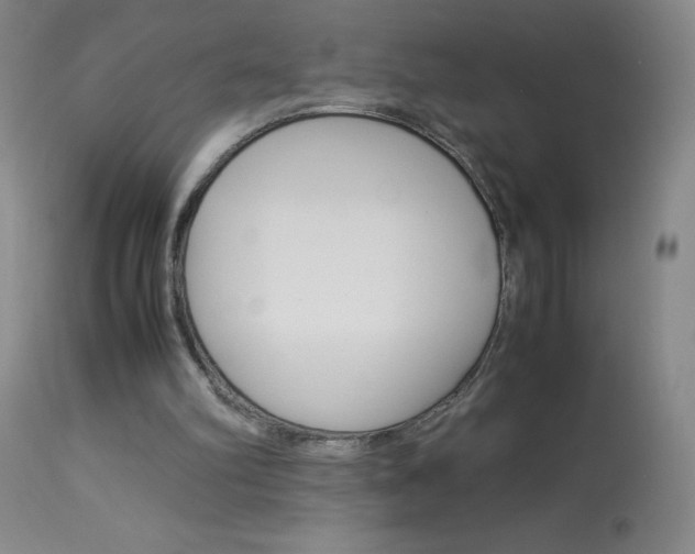 X0000114010102200910021002