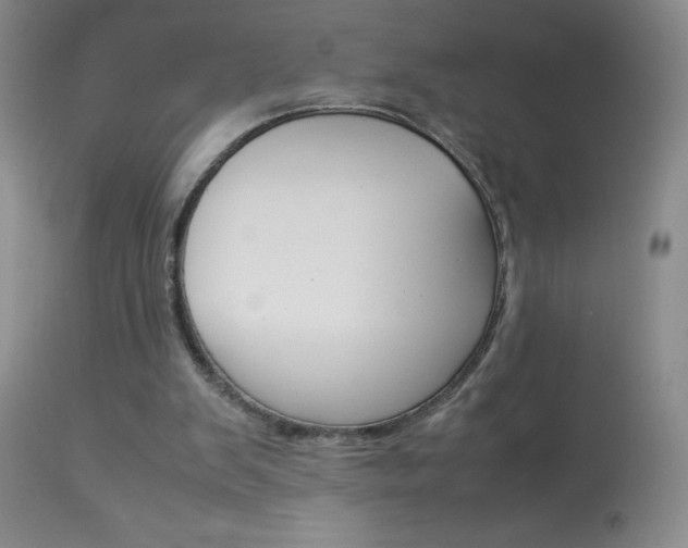X0000114010103200910021002