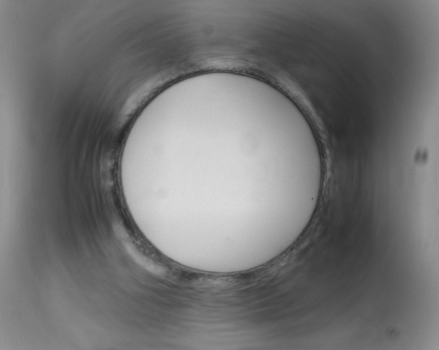 X0000114010106200910021002