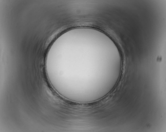X0000114010107200910021002