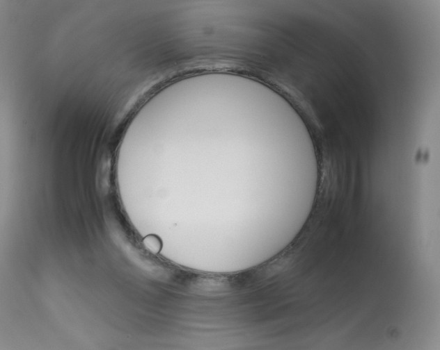 X0000114010110200910021002