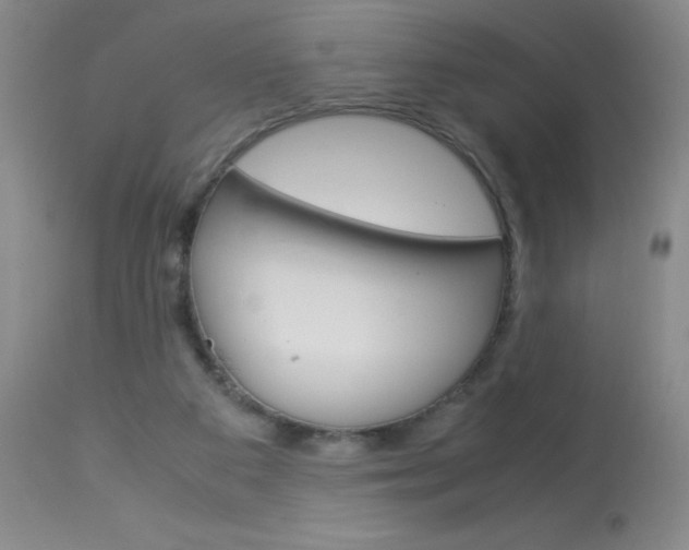 X0000114010113200910021002