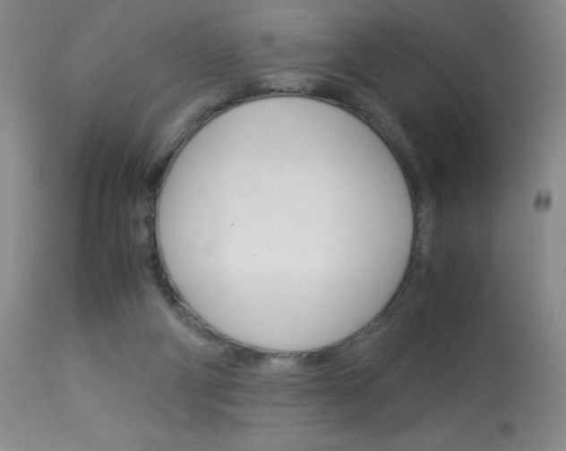 X0000114010114200910021002
