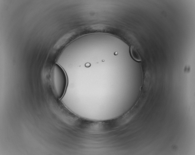 X0000114010116200910021002